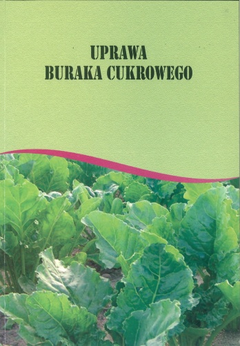 UPRAWA_BURAKA_CUKROWEGO.jpg