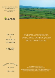 STUDIA I RAPORTY - ZESZYT 46  (PRODUKT CYFROWY) 