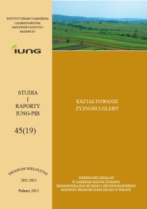 STUDIA I RAPORTY - ZESZYT 45  (PRODUKT CYFROWY) 