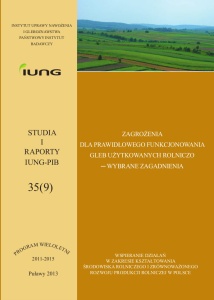 STUDIA I RAPORTY - ZESZYT 35 (PRODUKT CYFROWY)