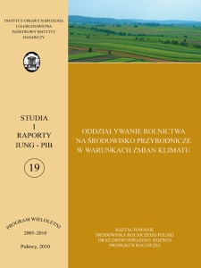 STUDIA I RAPORTY - ZESZYT 31  (PRODUKT CYFROWY)