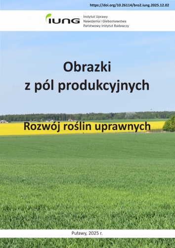 Obrazki z pól produkcyjnych_Rozwój roślin uprawnych_A_Bochniarz.jpg